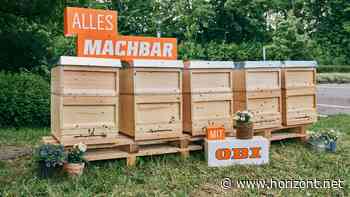 "See like a bee": So kämpft Obi zum Weltbienentag für bienenfreundliche Gärten