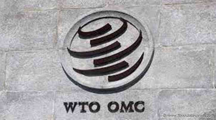 India to pitch for permanent solution to food stockholding at WTO meet next month