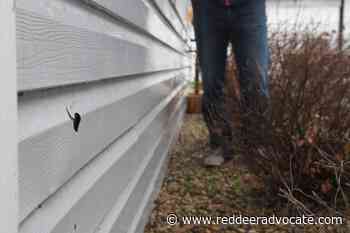 'It's lucky I wasn't home': Red Deer resident finds bullet holes in yard – Red Deer Advocate - Red Deer Advocate