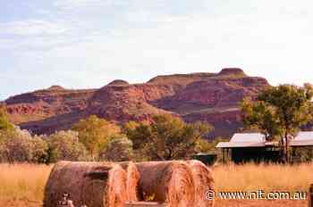 On-country diversion program's call to back suite of Kimberley youth justice plans - National Indigenous Times