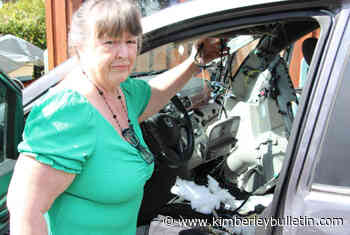 Bear destroys Vancouver Island van after getting trapped inside – Kimberley Daily Bulletin - Kimberley Bulletin