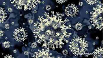 New, More Transmissible Coronavirus Variant Likely to Emerge in Africa Soon, Warns Africa CDC Acting Director | The Weather Channel - Articles from The Weather Channel | weather.com - The Weather Channel