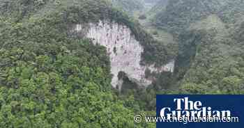 Ancient forest found at bottom of huge sinkhole in China