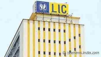 LIC investors lose more despite markets making big gains: Why is stock falling and what to do now?