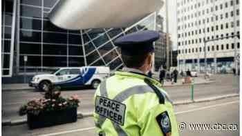 Edmonton adds new patrols to LRT in bid to improve transit safety