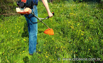 Prefeitura de Cotia abre processo seletivo com vagas de nível fundamental - Cotia e Cia