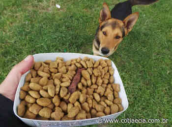 Banco de Ração e Utensílio para animais vira lei em Cotia - Cotia e Cia