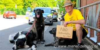 Marl: Ort für Hundefreilauf gefunden - darum hält die Stadt Marl ihn geheim - Marler Zeitung