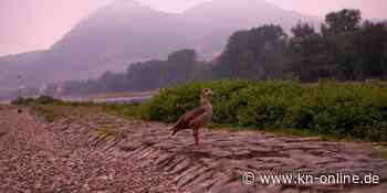 DWD gibt erste amtliche Unwetterwarnung für NRW heraus – Starkregen und Hagel erwartet