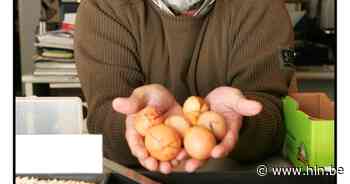 Voordracht over belang van planten in bezoekerscentrum Molsbroek - Het Laatste Nieuws