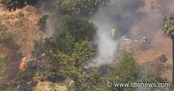 San Jose crews extinguish brush fire at Overfelt Gardens - CBS News