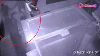 Gragnano. Ucciso a 17 anni, di nuovo in aula la sequenza del terrore - Lo Strillone