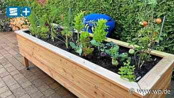 Gemüse in Stehen: So läuft der Hochbeete-Boom in Meschede - WP News