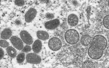 Medical staff told to watch out for monkeypox as outbreak in Europe grows - The Times of Israel