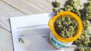 Proposal would shield Louisiana's state employees who use medical marijuana - Louisana Illuminator