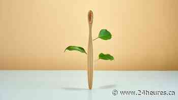 La brosse en bambou n’est pas 100% compostable