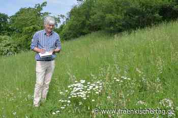 Wie die Stadt Coburg die Artenvielfalt verbessert. - Fränkischer Tag
