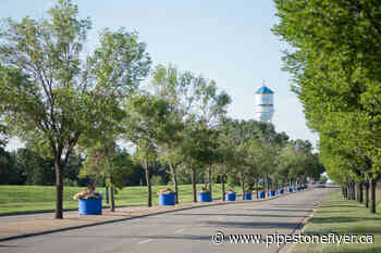 Grant helps Wetaskiwin businesses put their best face forward! - Pipestone Flyer