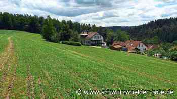 Neues Baugebiet in Rötenbach: Diskussion über die Heizmöglichkeiten