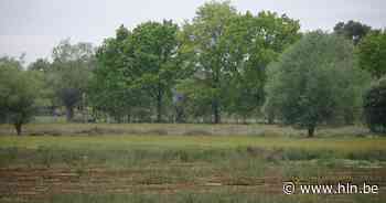 Brandgevaar in alle Vlaamse natuurgebieden verlaagd naar code geel - Het Laatste Nieuws