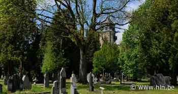 Peters of meters gezocht voor onderhoud van waardevolle graven - Het Laatste Nieuws