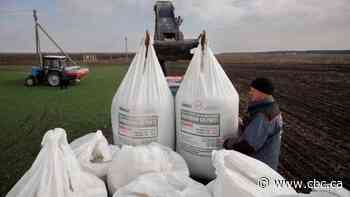 Global food crisis fuelled by war in Ukraine could provoke unrest