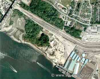 Hereditary chief seeks unusual injunction against Squamish Nation - Squamish Chief