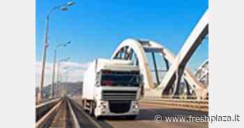 La Spagna ha esportato il 94,1 per cento dei suoi ortofrutticoli su camion - Freshplaza.it