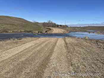 Flood waters may increase risk of exposure to anthrax spores