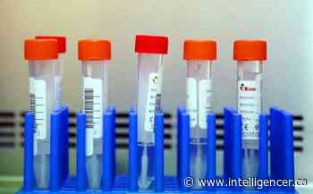 Two deaths but fewer active COVID cases in past week - Belleville Intelligencer