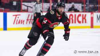 Marlies denied Calder Cup playoff berth with loss to Senators - TSN