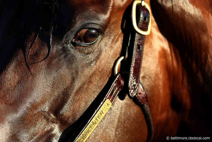 Near-Record Heat For Preakness Stakes Another Test For Epicenter