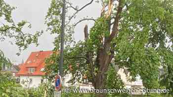 Mutmaßlicher Tornado richtet massive Schäden in Lippstadt an