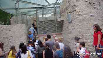 Lange Nacht der Museen: Anatomie-Turm war einer der Lieblinge