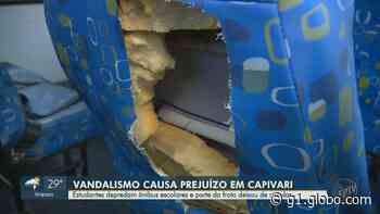 Frota escolar de Capivari é alvo de vandalismo; motoristas relatam danos e agressões de alunos - Globo.com