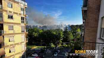 Incendio al parco delle Valli: alta colonna di fumo nel cielo