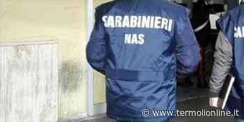 Alteravano il tonno per renderlo più genuino: Nas all'opera anche in Molise - Termoli Online