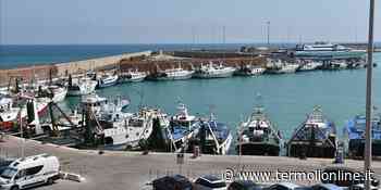 Decreto aiuti, misure in soccorso della pesca - Termoli Online