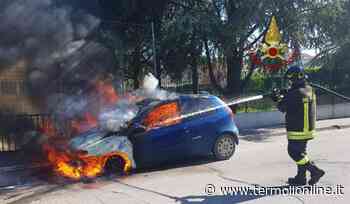Auto in fiamme a Petacciato, accorrono Vigili del fuoco e Carabinieri - Termoli Online