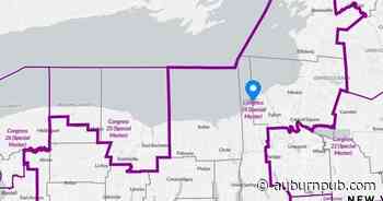 Analysis: Cayuga County misunderstood by redistricting special master - The Citizen