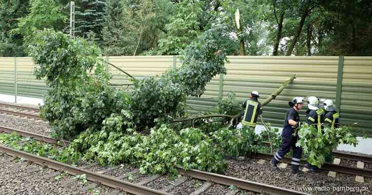 Bäume auf Gleisen: Bahnverkehr eingeschränkt