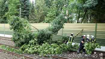 Bäume auf Gleisen: Bahnverkehr eingeschränkt