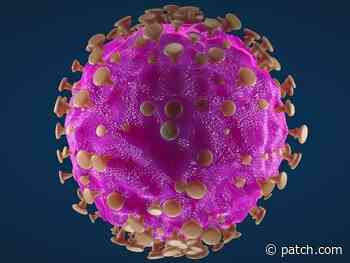 CT Coronavirus Update: Positivity Rate Hits 14% + School Case Numbers - Patch