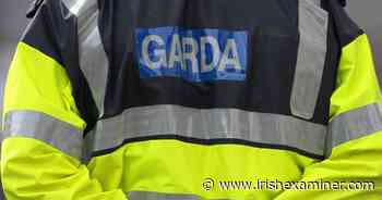 €400k of cannabis seized in Dublin in organised crime probe - Irish Examiner
