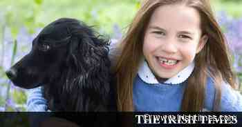 Orla the spaniel shakes off her south Dublin roots and joins the royal family - The Irish Times