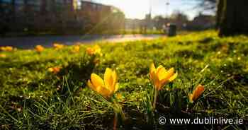 Met Eireann weather forecast a brief respite for Dublin before dire conditions make a return - Dublin Live