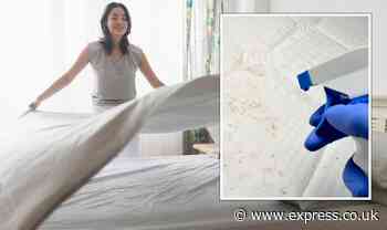How to properly clean mattresses to ‘kill off any dust mites’ using ‘unknown hack’