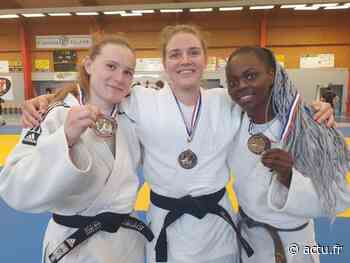 Les Monts d’Aunay. Carton plein aux championnats de Normandie pour les jeunes judokas de l’Entente Judo Bocage - actu.fr