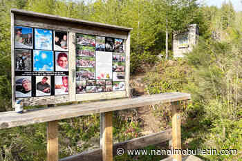 Six years and counting: Family angry fatal Chemainus stabbing still before the courts