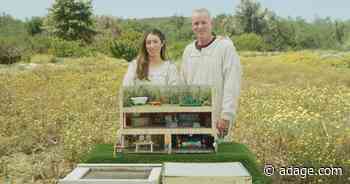 Kind celebrates World Bee Day on TikTok